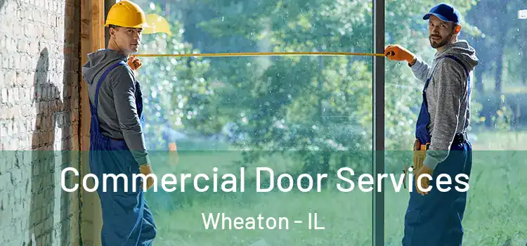 Commercial Door Services Wheaton - IL