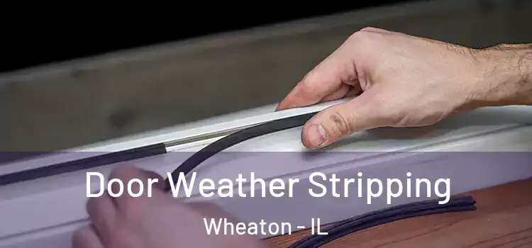 Door Weather Stripping Wheaton - IL
