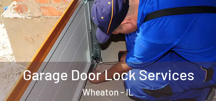 Garage Door Lock Services Wheaton - IL