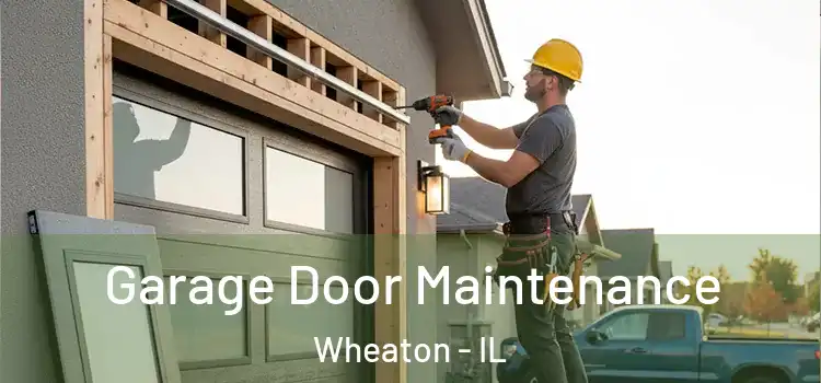 Garage Door Maintenance Wheaton - IL