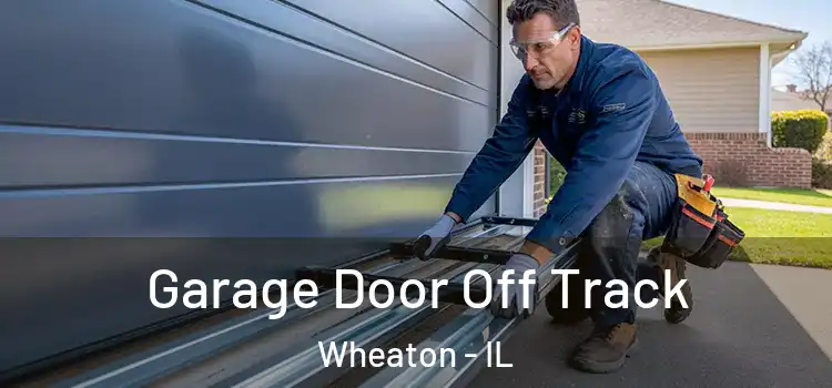  Garage Door Off Track Wheaton - IL