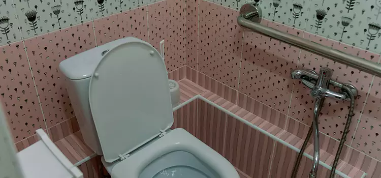Meeting Diverse Needs With Accessible Restroom Solutions in Wheaton, IL