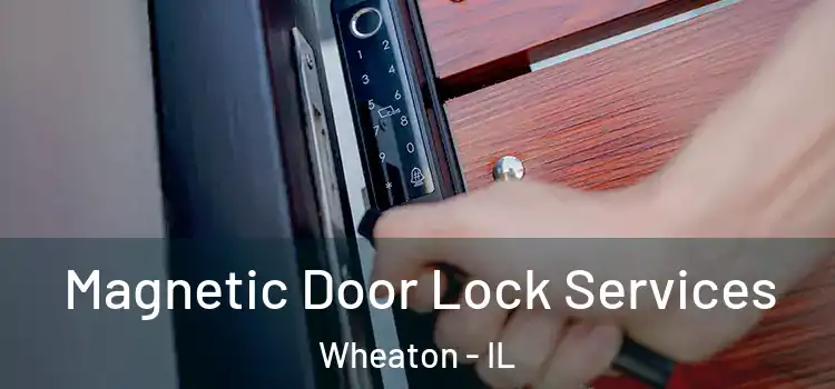 Magnetic Door Lock Services Wheaton - IL