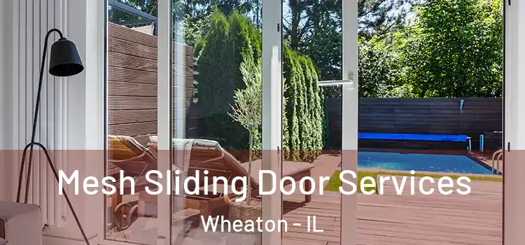 Mesh Sliding Door Services Wheaton - IL
