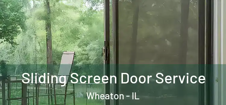 Sliding Screen Door Service Wheaton - IL